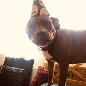 Meet your Posher, Gram